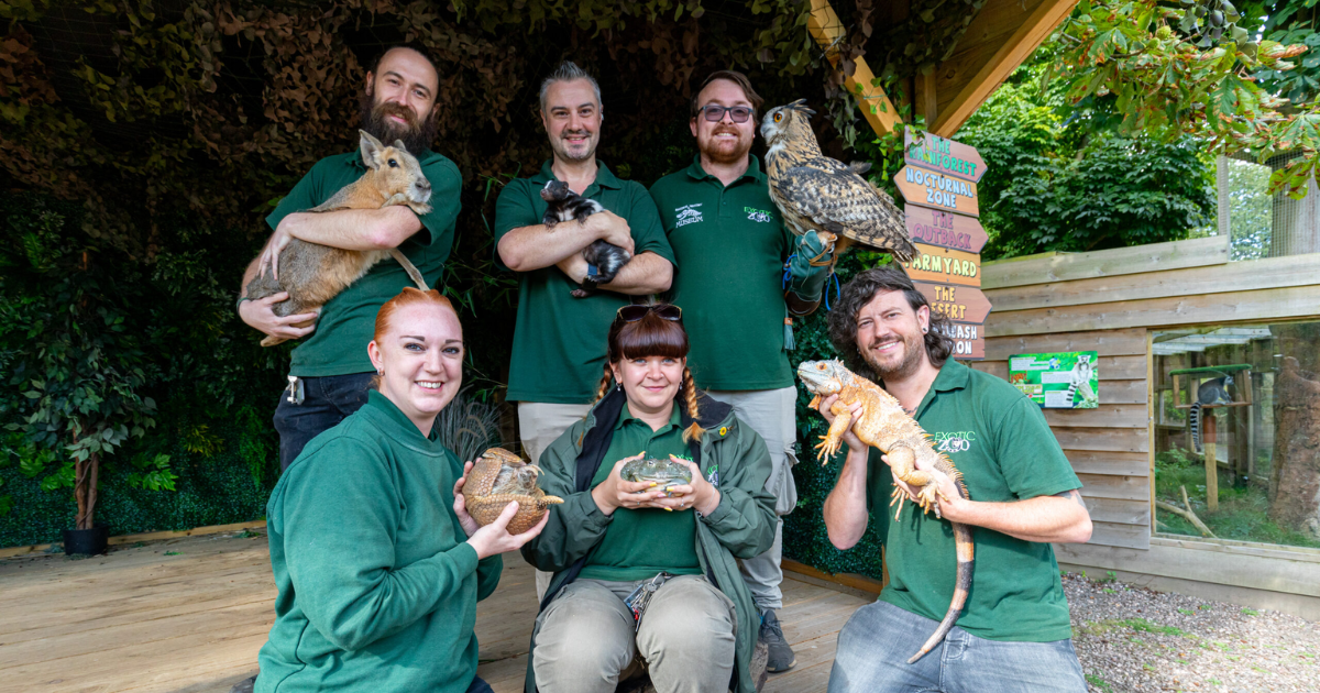 People playing with animal in Exotic Zoo Priorslee Telford